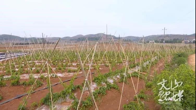 龙8-long8(国际)中国唯一官方网站
